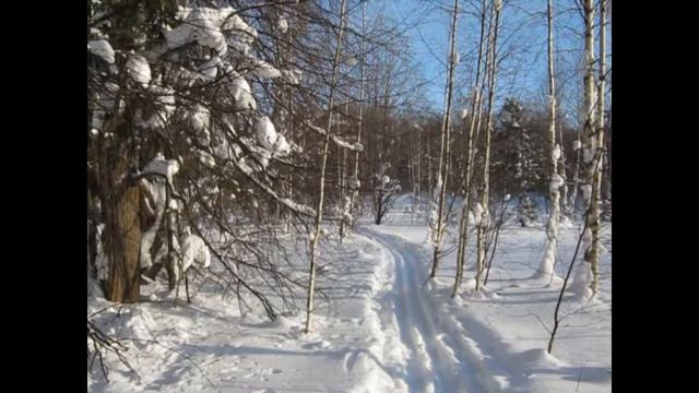 Зимой в лесу смотреть онлайн