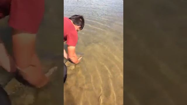 Рыбалка на чиркейском водохранилище смотреть онлайн