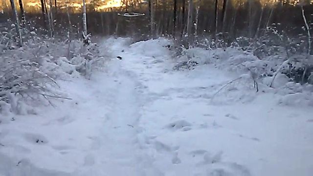 WP_20160110_09_43_49_Pro смотреть онлайн
