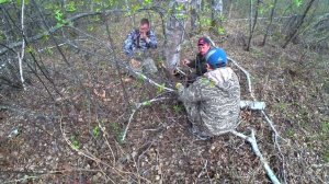 Хотели домой, но ТАЙГА не отпускает нашего "МАЭСТРО"))