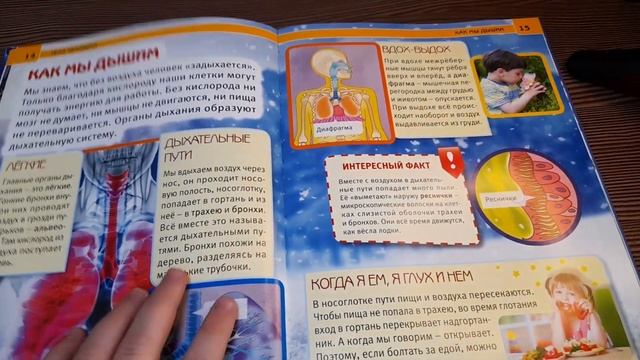 Обзор энциклопедии тело человека