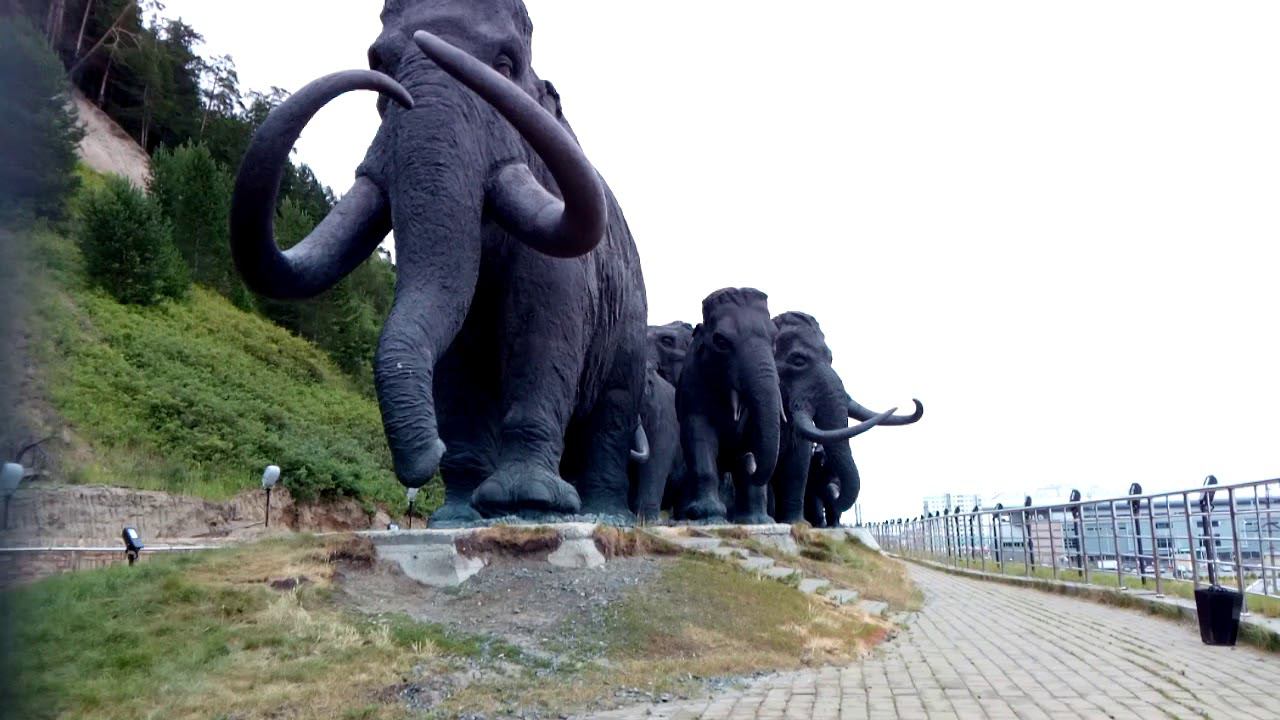 Стадо мамонтов. Ханты-Мансийск, август 2018. смотреть онлайн