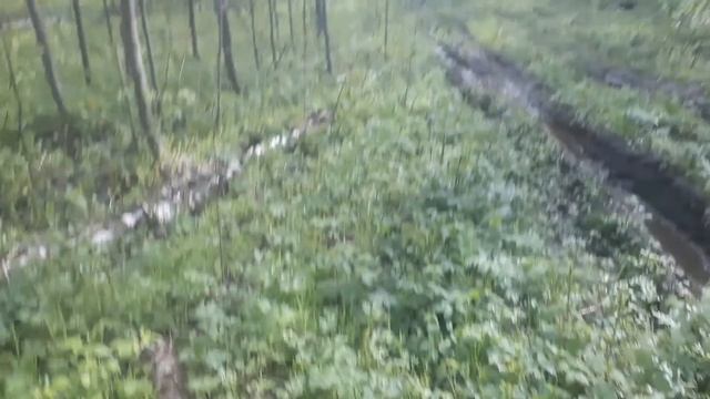 Нашел жирное место на УЖД 320кг смотреть онлайн