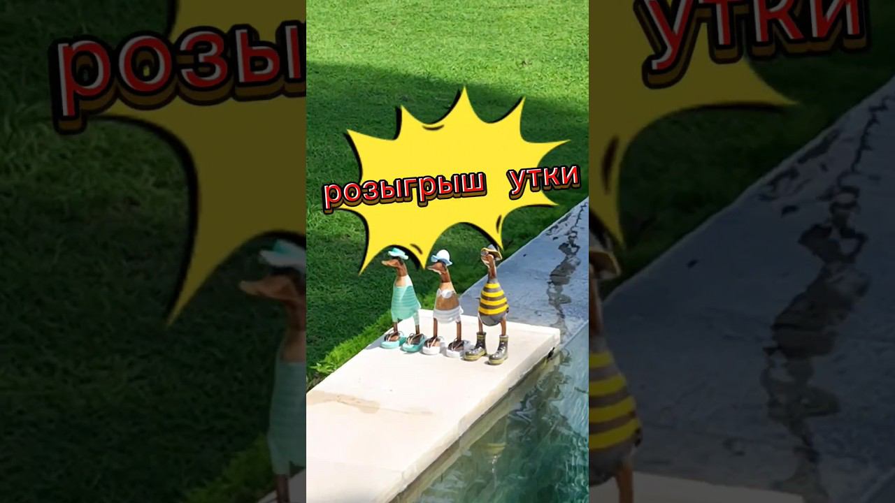 Ваш шанс выиграть: Розыгрыш утки сегодня в 15:00! смотреть онлайн