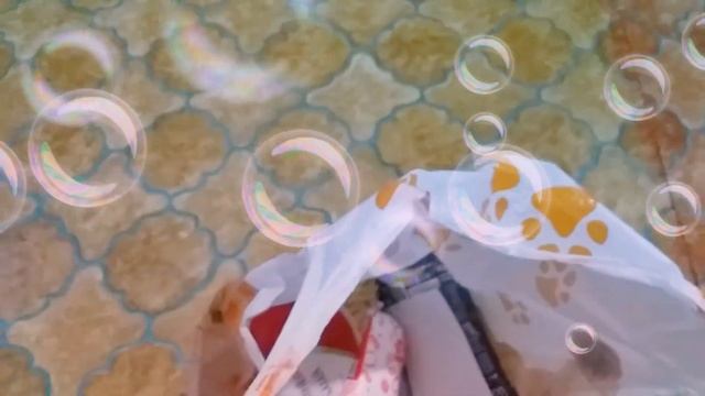 Обзор покупок из пятерочки.