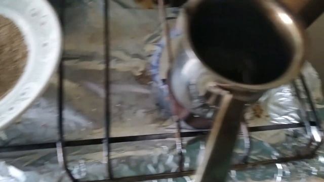 Сделал кофе из ячменя и прозрел смотреть онлайн