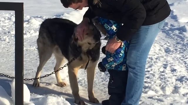 Наши выходные. Павловка. Усадьба у Альберта. смотреть онлайн