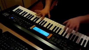 Roland GW-8 Live Performance By. Bee Jay Budai