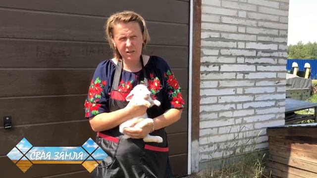 Сельский туризм в Беларуси - рыбалка, охота, вкусные блюда, красивая природа, гостеприимные хозяева смотреть онлайн