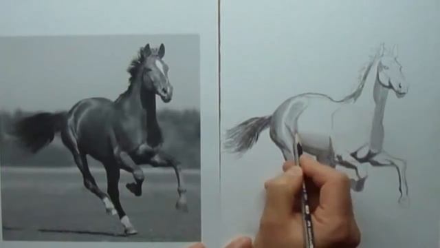 Мастерство в Деле