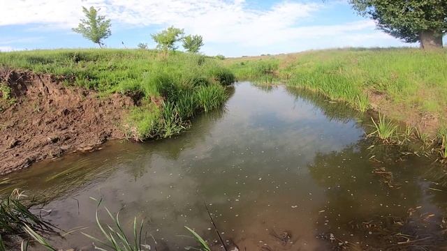 ЛАЙТ СПИННИНГ НА РЕКЕ ЧАПАЕВКА/ЛОВЛЯ ОКУНЯ / РЫБАЛКА НА МИКРО-РЕЧКЕ/ СПИННИНГ С БЕРЕГА/ЛОВЛЯ ХИЩНИКА смотреть онлайн