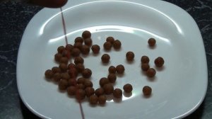 Супер убойная насадка для ловли леща и плотвы(Дневник рыболова)