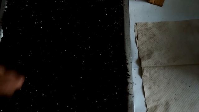 КОГДА САЖАТЬ ПЕРЕЦ НА РАССАДУ | ВЫРАЩИВАНИЕ СЛАДКОГО ПЕРЦА - ПОСЕВ И УХОД ЗА СЕЯНЦАМИ смотреть онлайн