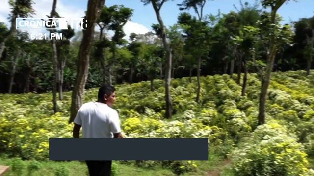 Los jueves de verbena son arte, cultura y tradición del pueblo de Masaya - Nicaragua смотреть онлайн