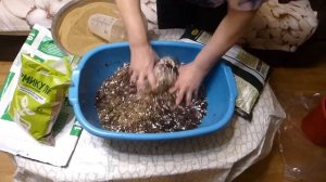 Пересадка роз из коробок