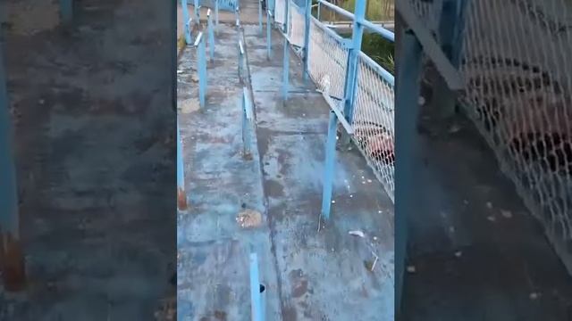 Неудачная кража смотреть онлайн