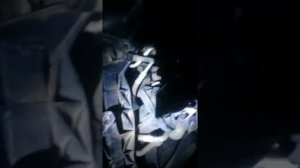 Замена жидкости в ГУР на Форд Фокус 2