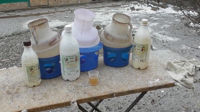 Пробиотик голубям после Антибиотика! Эмпробио! смотреть онлайн