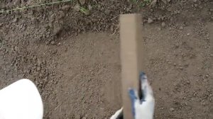 Как сажать лён