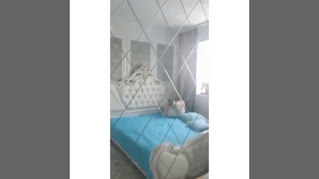 Двери межкомнатные Караганда смотреть онлайн