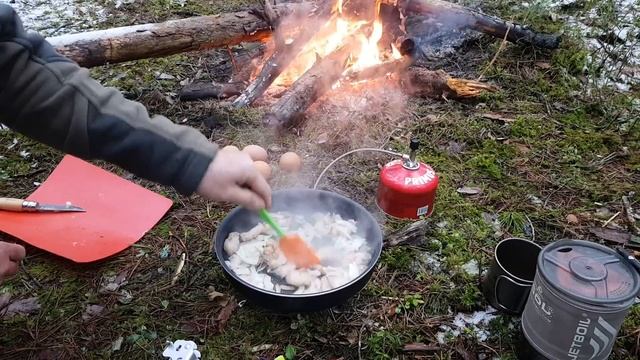 Зимний велопоход. Встретил зубров
