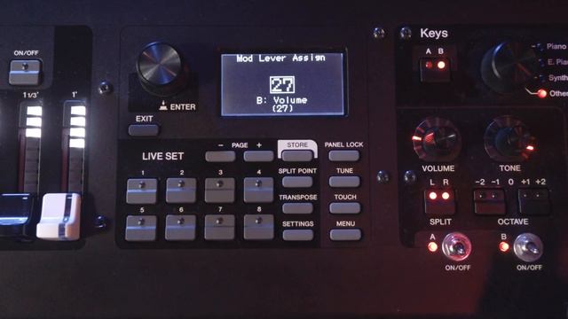 TOP 5 Yamaha YC88 Live Performance Tricks!