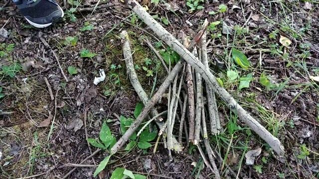 База в лесу/Самодельный домик в лесу/Ловушки и оружие смотреть онлайн