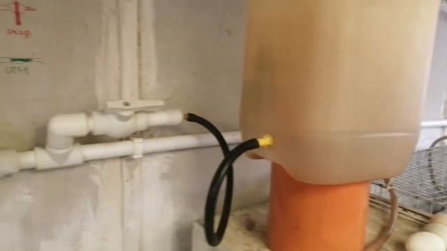 Водопровод в курятнике. Полная автономность. смотреть онлайн