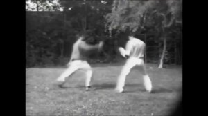 Мухамед Али и Брюс Ли