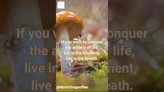 Deep Relaxing Music for Sleep & Meditation #sleepmusic смотреть онлайн