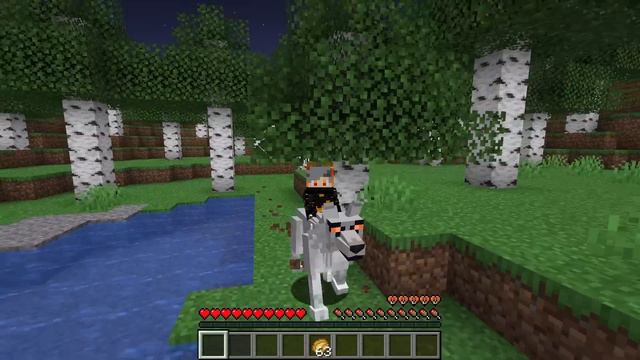 Raised By BLOOD WOLF FAMILY In Minecraft! (Hindi) смотреть онлайн