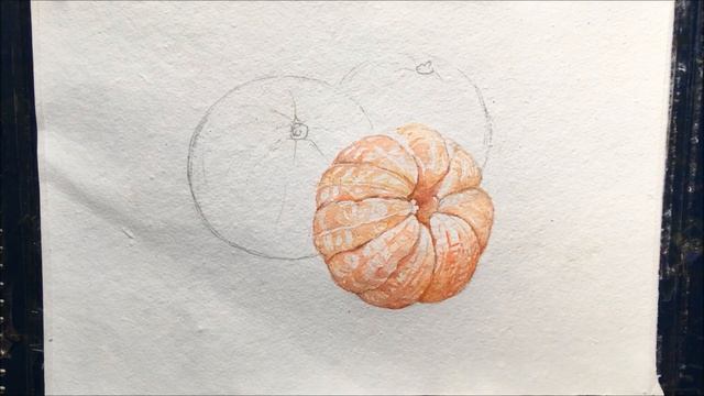 Realistic orange painting in watercolor | Mandarin orange | Still life painting смотреть онлайн