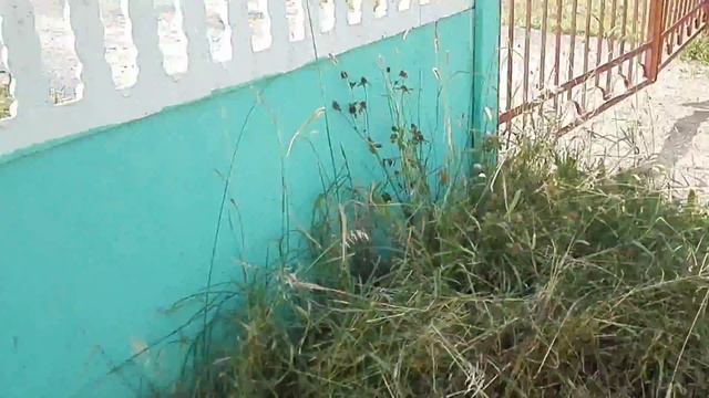 Мастерство строительства (точность измерения) смотреть онлайн