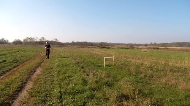 DeX Mini Quad Hammer Crash Test смотреть онлайн