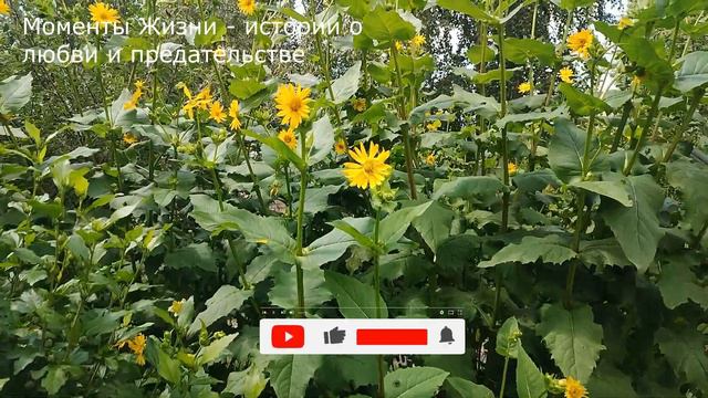 📕 Он на нее жаловался даже в министерство, а она пошла с ним ... смотреть онлайн