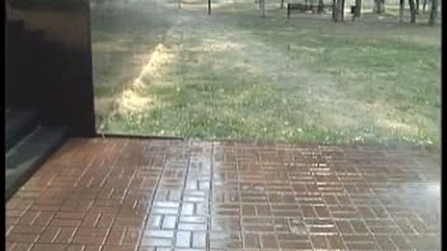 жаркое лето 2010 года - засуха