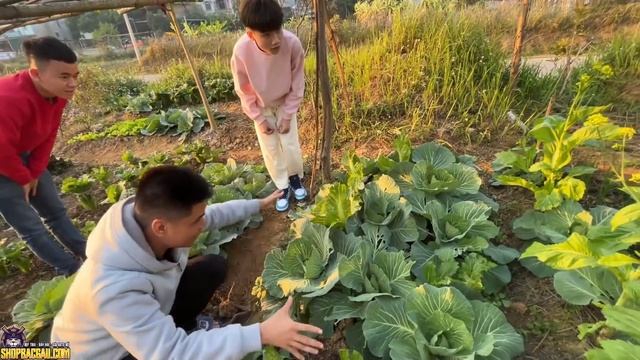 (VLOG) HÀNH TRÌNH XUỐNG NHÀ C4 MỜI THAM GIA MV " WE ARE FAMILY " смотреть онлайн