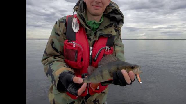 Кошкино июнь 19 013 смотреть онлайн