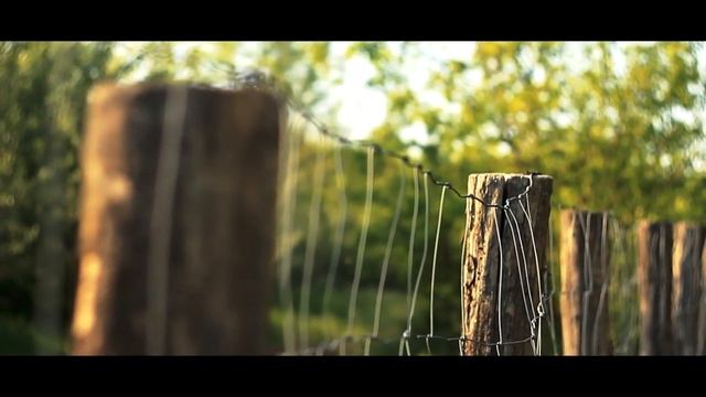 Canon 1100D + Helios 44-2 - In The Woods