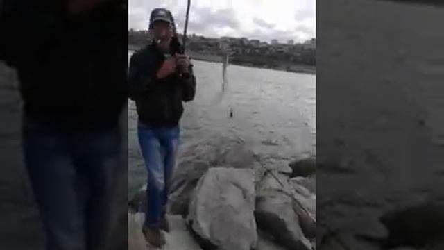 Махачкалинская рыбалка березка смотреть онлайн