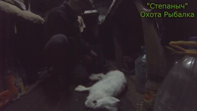 Чтобы быстро снять шкурку зайца, надо... смотреть онлайн