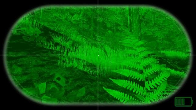 Первый взгляд ► Finding Bigfoot