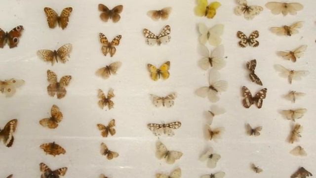 ЭТНО-ДЕРЕВНЯ "БАБИНА РЕКА" смотреть онлайн