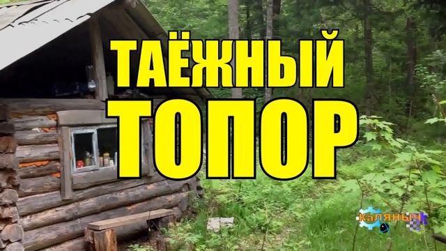 0893 - ТАЕЖНЫЙ ТОПОР И ДЕД ВОВ _ ЖИЗНЬ В ТАЙГЕ.mp4 смотреть онлайн