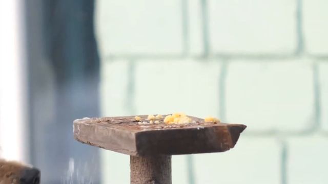 Халявная кормушка смотреть онлайн