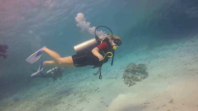 Diving Hurghada Amwaj 8-15 смотреть онлайн