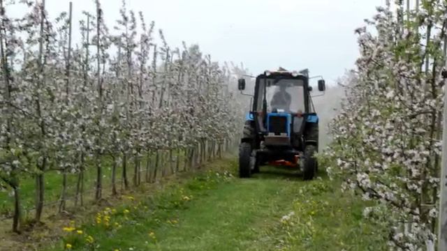 Опрыскиватель ЗУБР с Колонной 3,0 смотреть онлайн