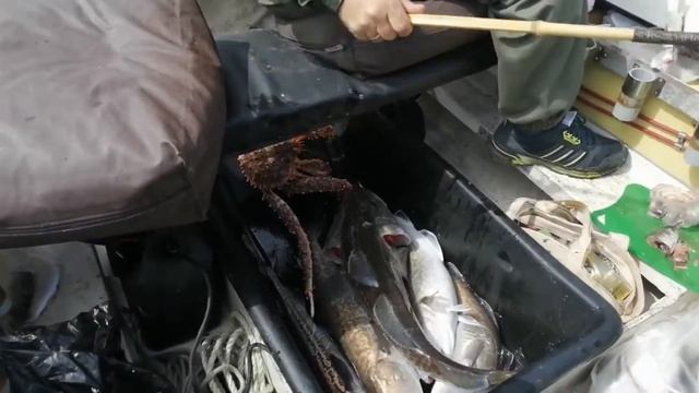 В Татарском проливе смотреть онлайн