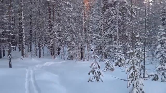 Тайга 12.12. 2015.(Пятлин-Печора) смотреть онлайн