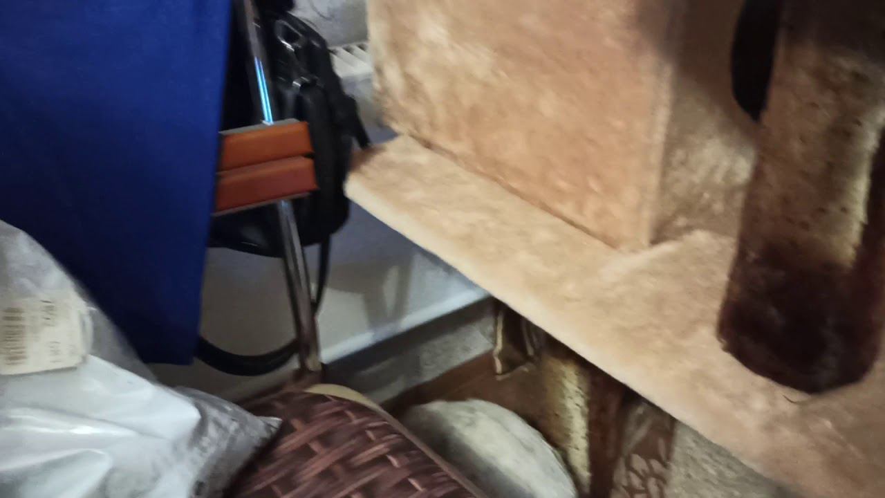 5 марта 2020 г. смотреть онлайн